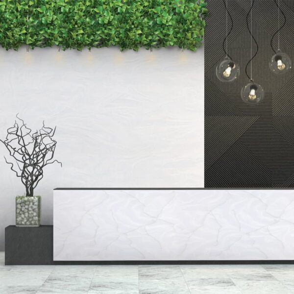 Arctic White Image 4